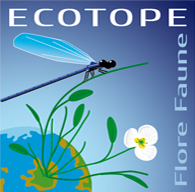 Ecotope Faune et Flore